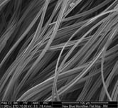 em_new_blue--1000x_300dpi_figure_4