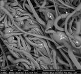 em_wash_blue--no_au_1000x_300dpi_2_figure_5