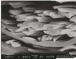 microfiber_figure1